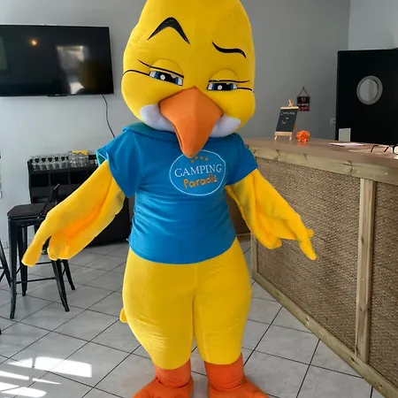 Paradis L'ile De Kernodet * Saint-Molf